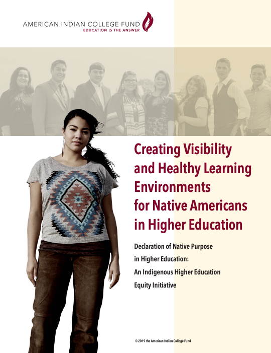 Creating visibility and healthy learning environments for Native Americans in higher education: Declaration of Native purpose in higher education