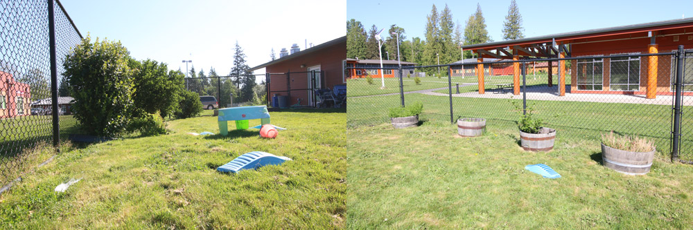 Before and After of the playground