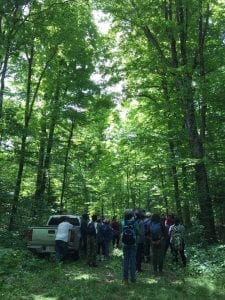 Photo of the MJenominee Forest