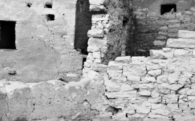 Guest Blog From Student Intern Deanna