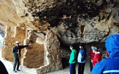 Guest Blog From Student Intern Deanna