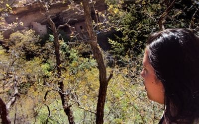 Guest Blog From Student Intern Deanna