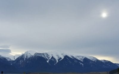 Meet Our Indigenous Visionaries