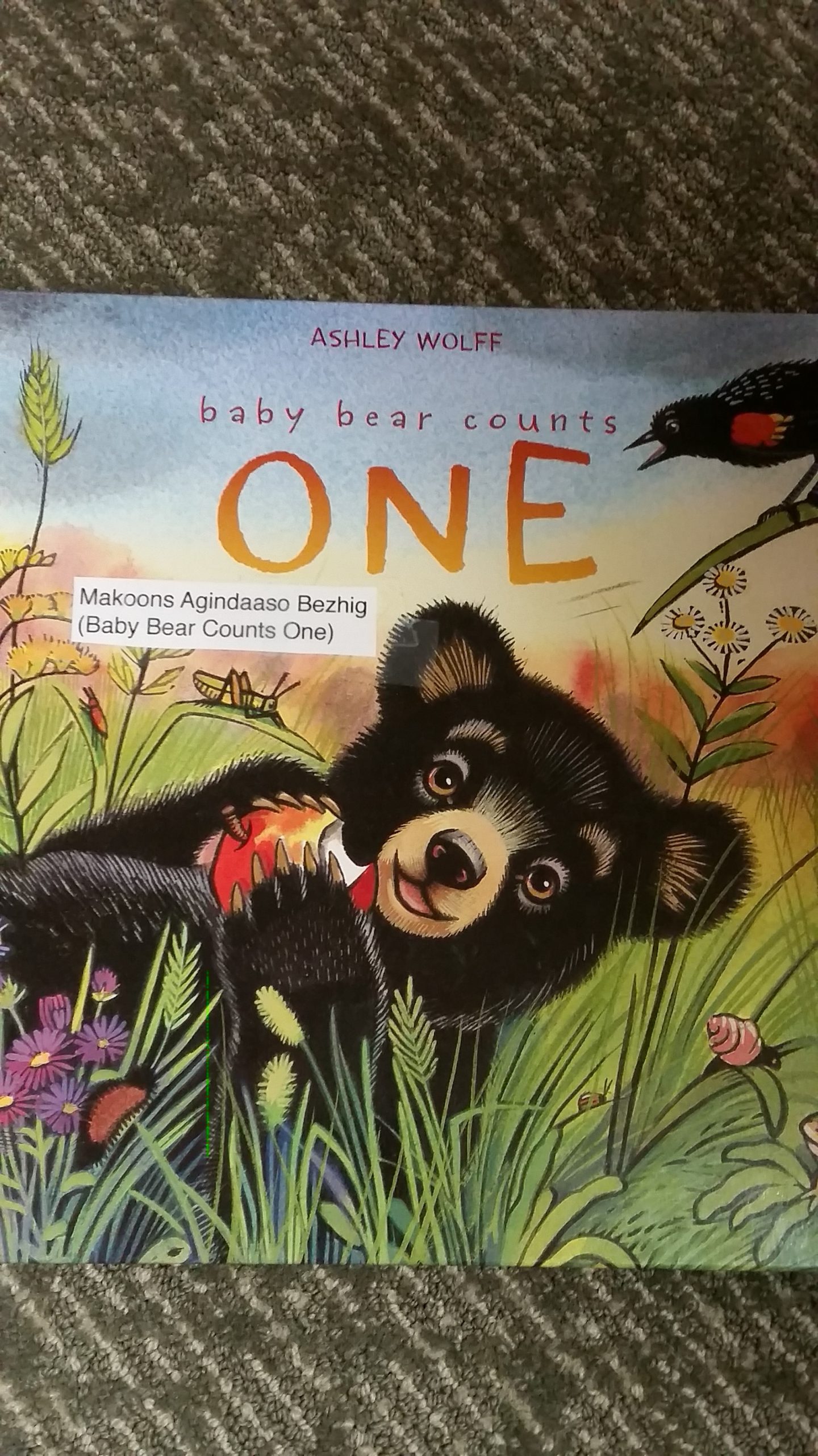 Baby Bear Counts One by Ashley Wolff (2013)
