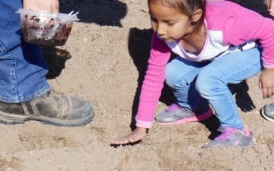 Wakanyeja Sacred Little Ones &  K’é Family Engagement Initiative Presents:  “SIPI YDI Community Planting Event”