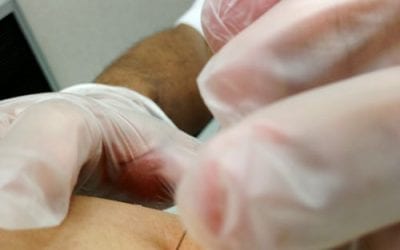 Protect the Circle of Life: Please Get a Flu Vaccine