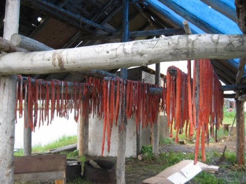 Strips of salmon hang to dry in Amber's home town.
