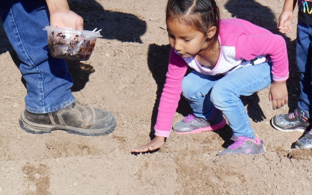 Grotto Foundation Grants $25,000 to Revitalize Lakota Language in Early Childhood