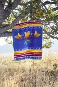 The Courage to Bloom blanket by Deshawna Anderson.