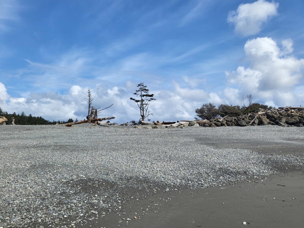 The sand bar at Taholah, Wash.