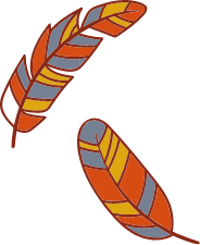 feather