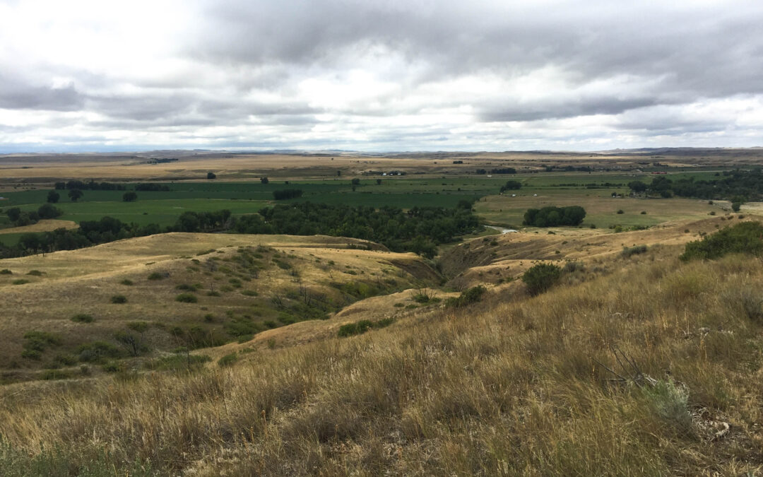 The Other Side of History: Hope from the Victory at Little Bighorn