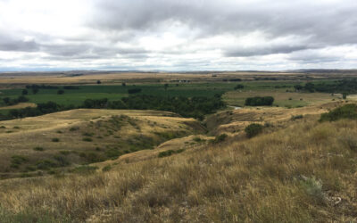 The Other Side of History: Hope from the Victory at Little Bighorn