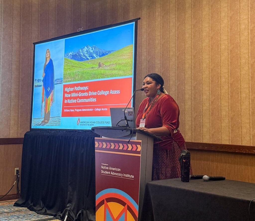 Brittany Tabor's Presentation for NASAI Conference