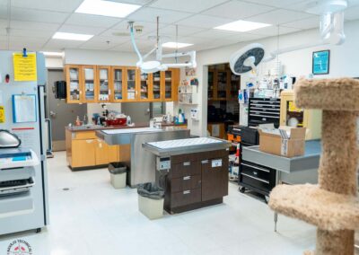 Navajo Technical University (Crownpoint) Vet Tec Classroom