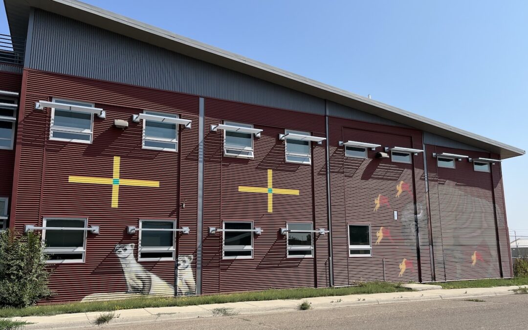 Integrating Aaniiih and Nakoda Languages and Culture into Early Childhood Education